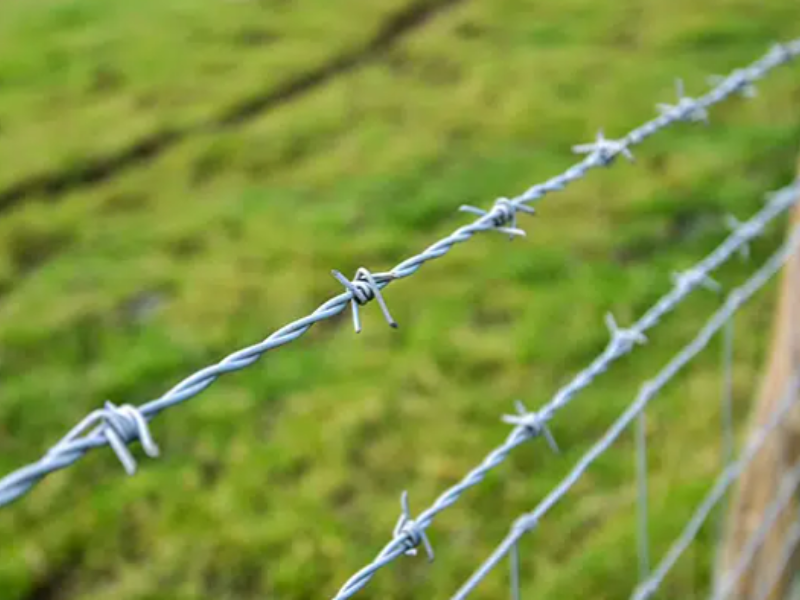 Barbed wire Burleson