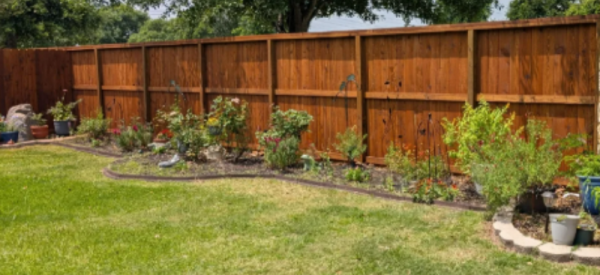 Cedar Fence 11