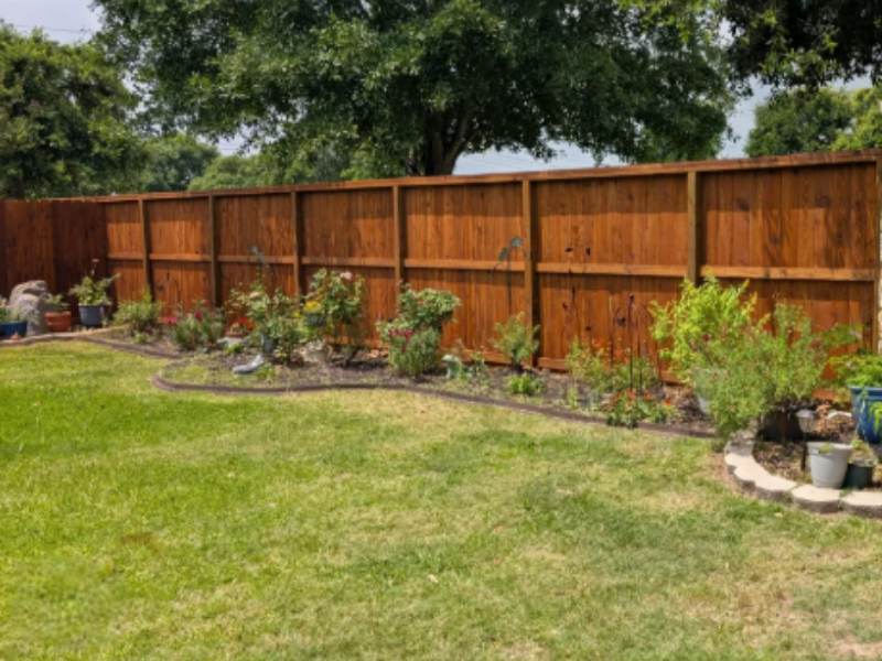 Cedar Fence 11