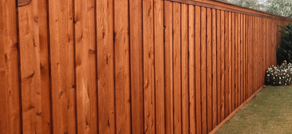 cedar fence 6